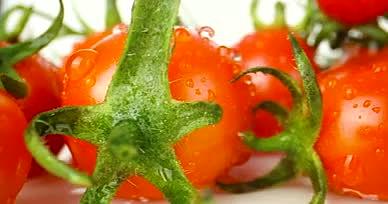 4K圣女果小西红柿小番茄微观镜头新鲜水果视频的预览图
